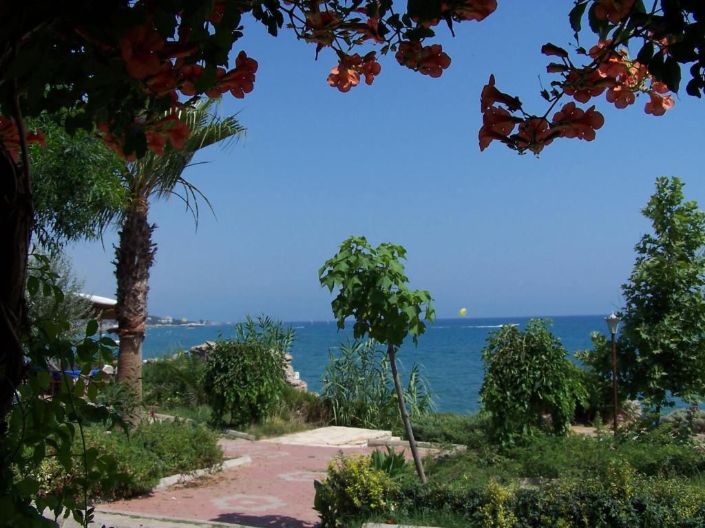 Guven Hotel Alanya Buitenkant foto